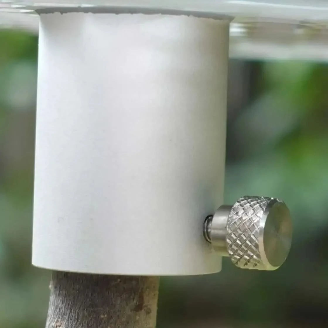 Honey Bee Camping Table